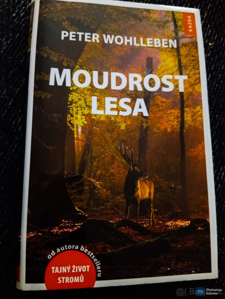 Knihy po 219 Kč - 7