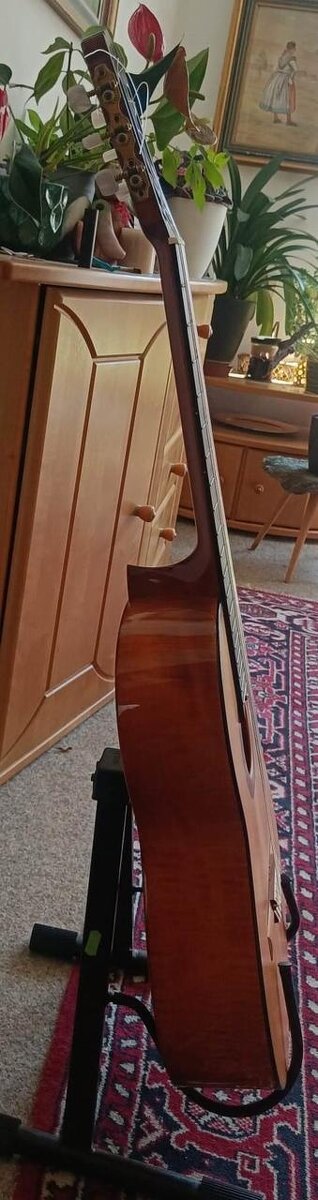 Prodám kytaru Hanika 52AF - 7