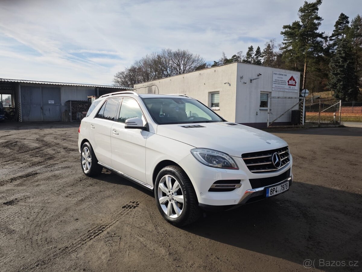 Mercedes Benz ML 250CDi W166 - 7