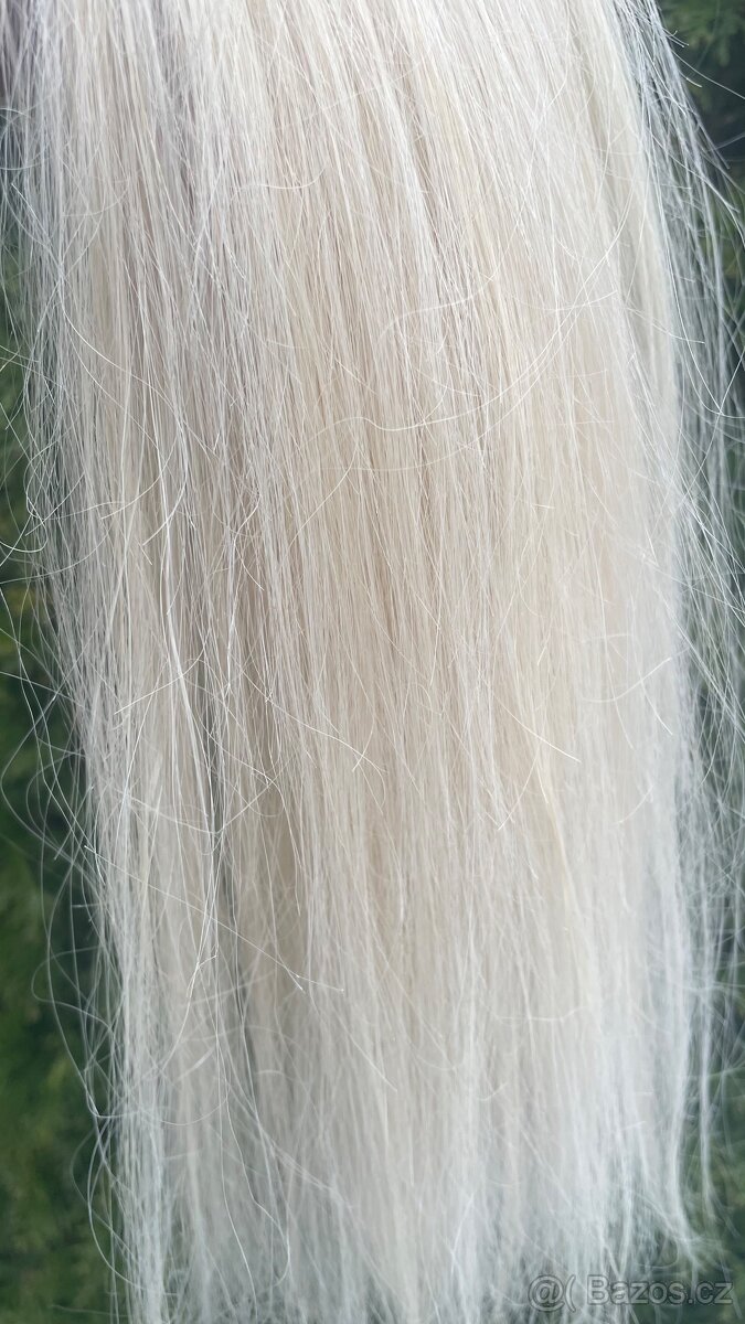 Středoevropské vlasové pasky - 7