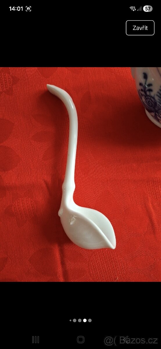 Omáčkovník Zwiebelmuster - 7