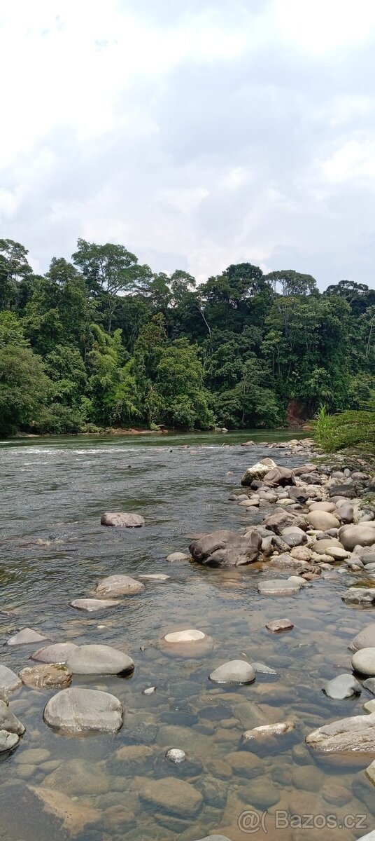 Pozemek v Amazonii - 7