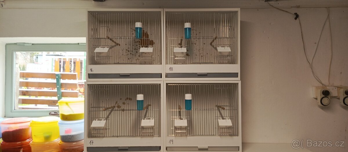 Prodám bednové klece - 7