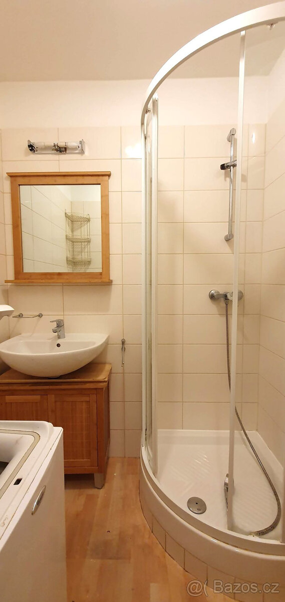 Pronájem bytu 2+1 na ul. Evžena Rošického - 7