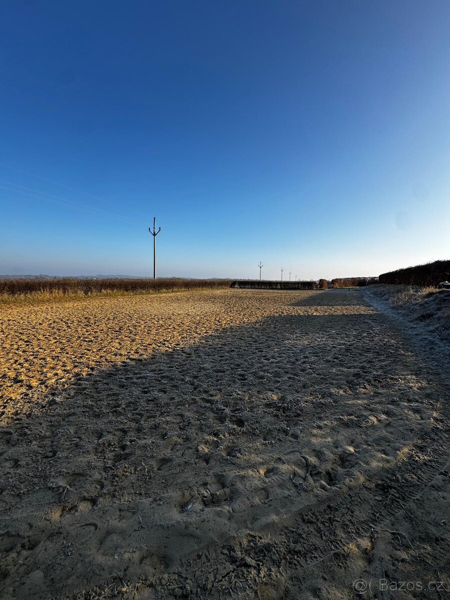 Ustájení koní - box - 7