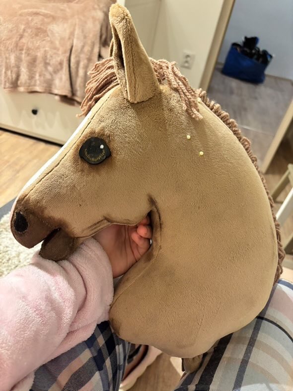 Hobby horse - prodej - 7
