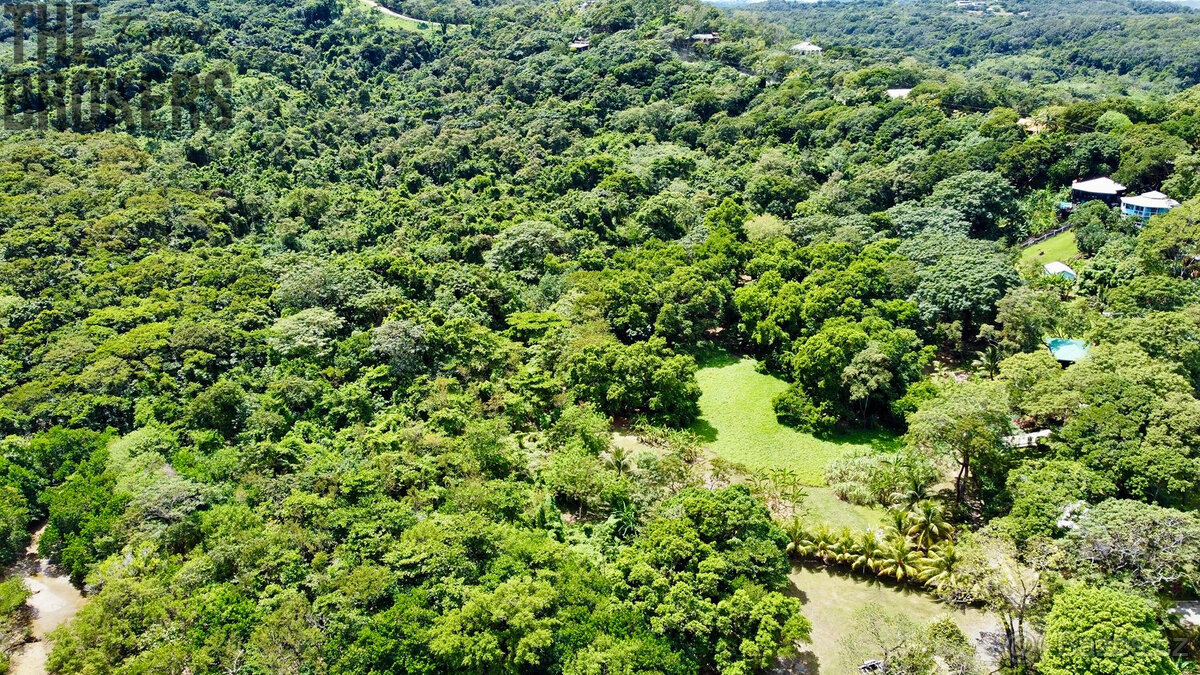 Punta Blanca, Lot 4 - 7