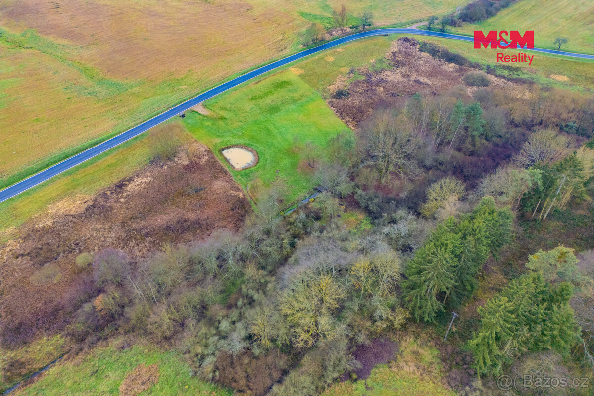 Prodej louky, 6272 m², Hůrky - 7