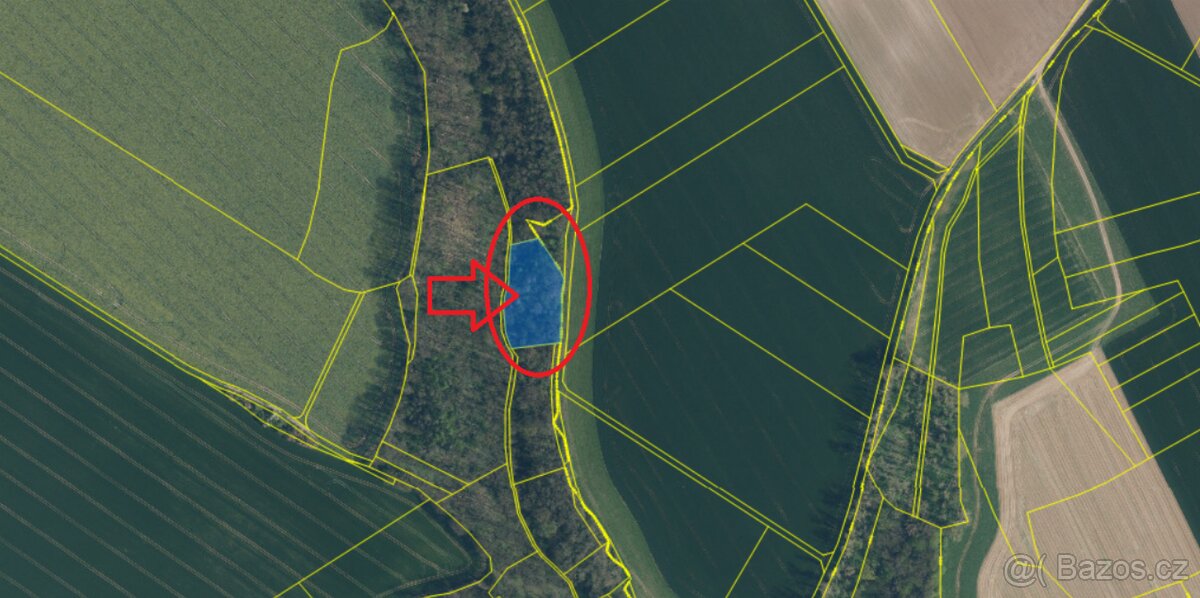 Prodej lesního pozemku k.ú. Boreč - 7