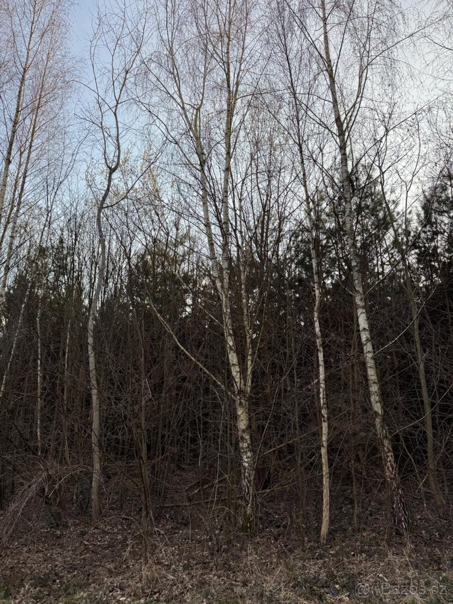 Prodám pozemky v k.ú. Stéblová - 7