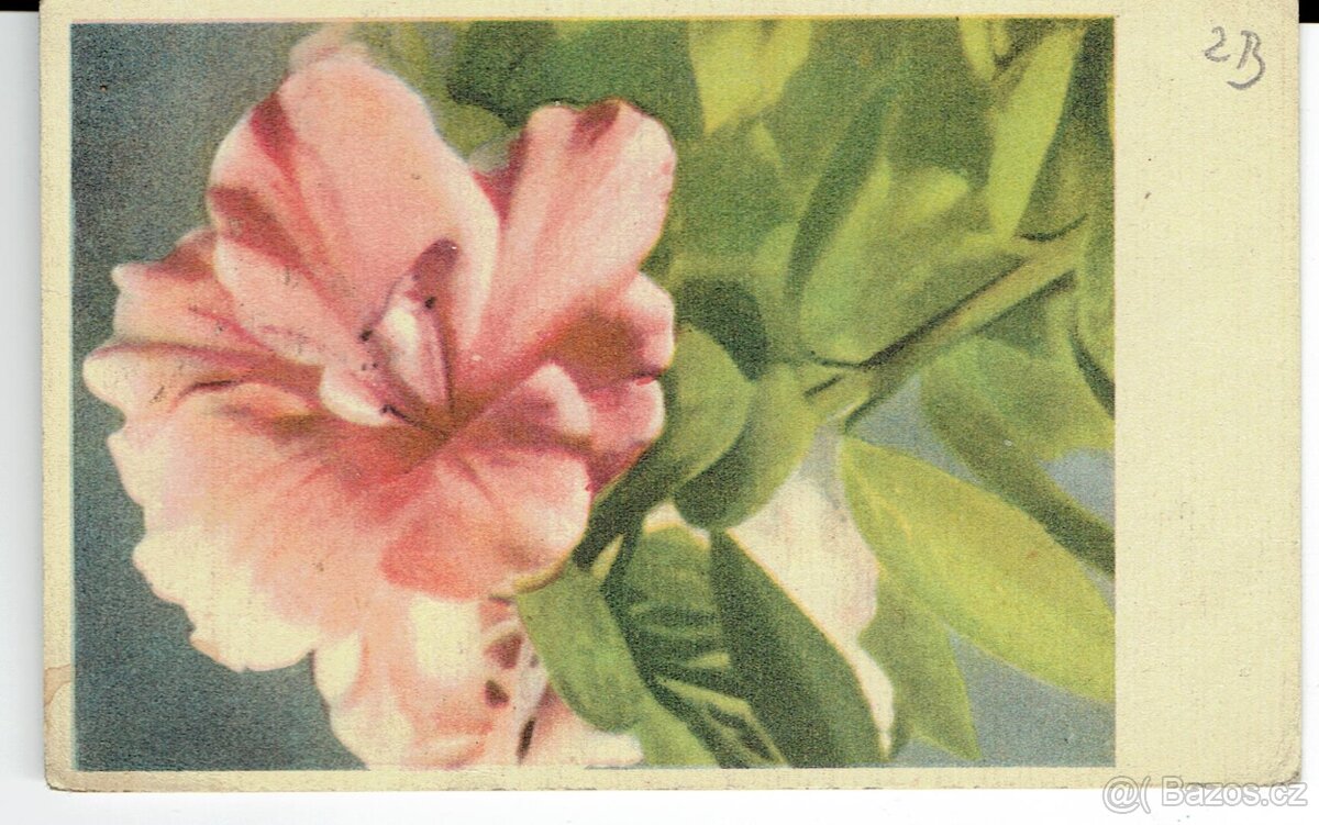 STARÉ POHLEDNICE - 7