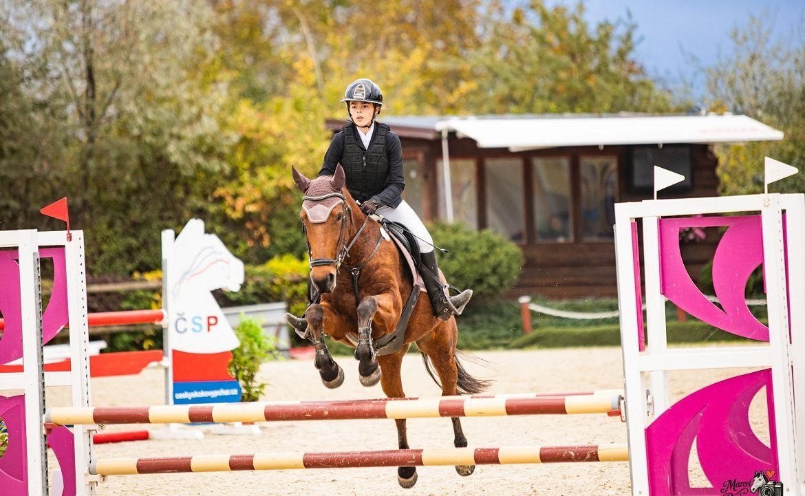 Sportovní PONY B - 7