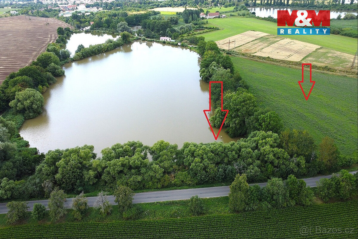 Prodej pozemků 6053 m², Liblice u Českého Brodu - 7