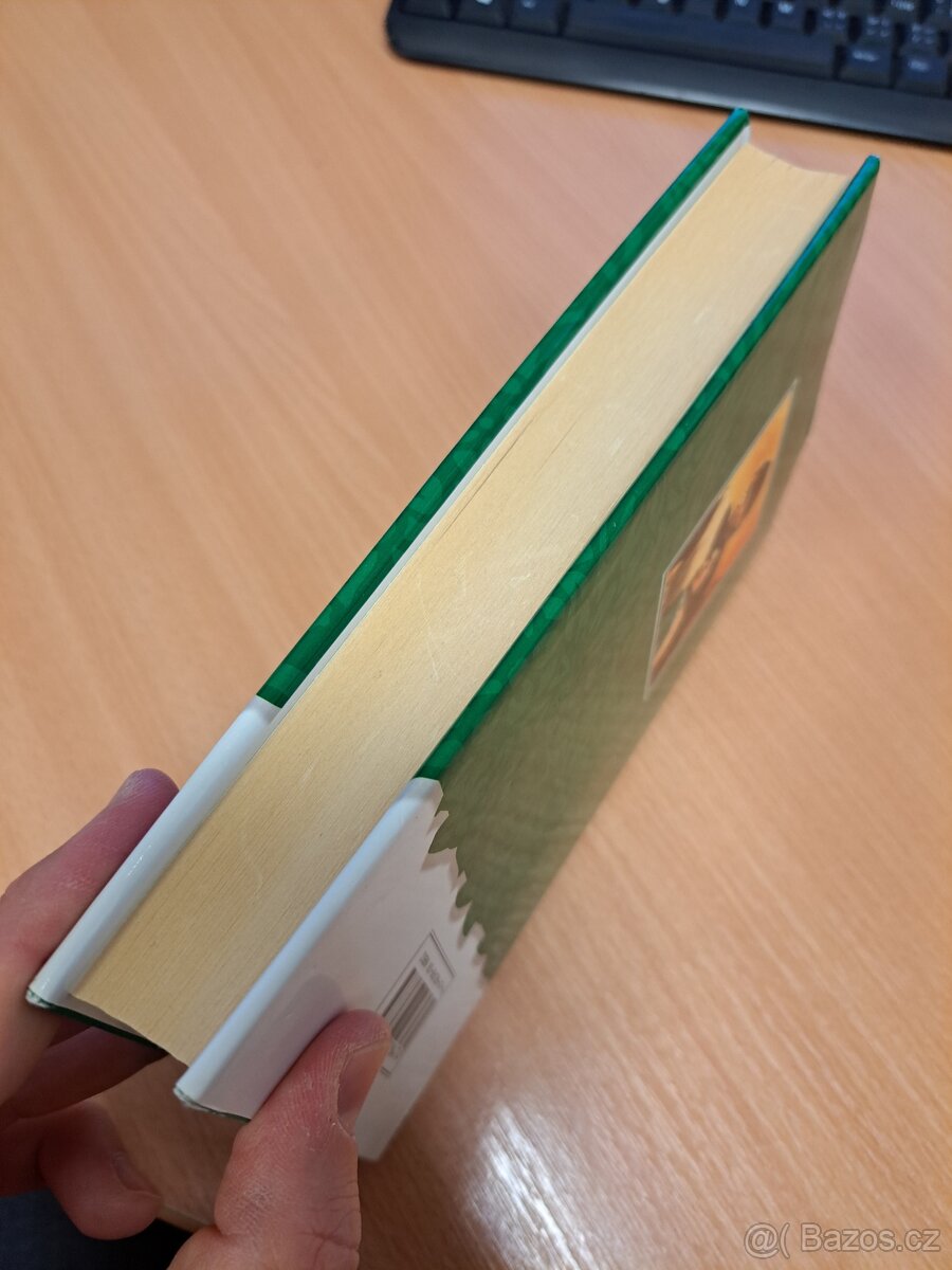 Rytíř ohně - Shannon Drake - 7