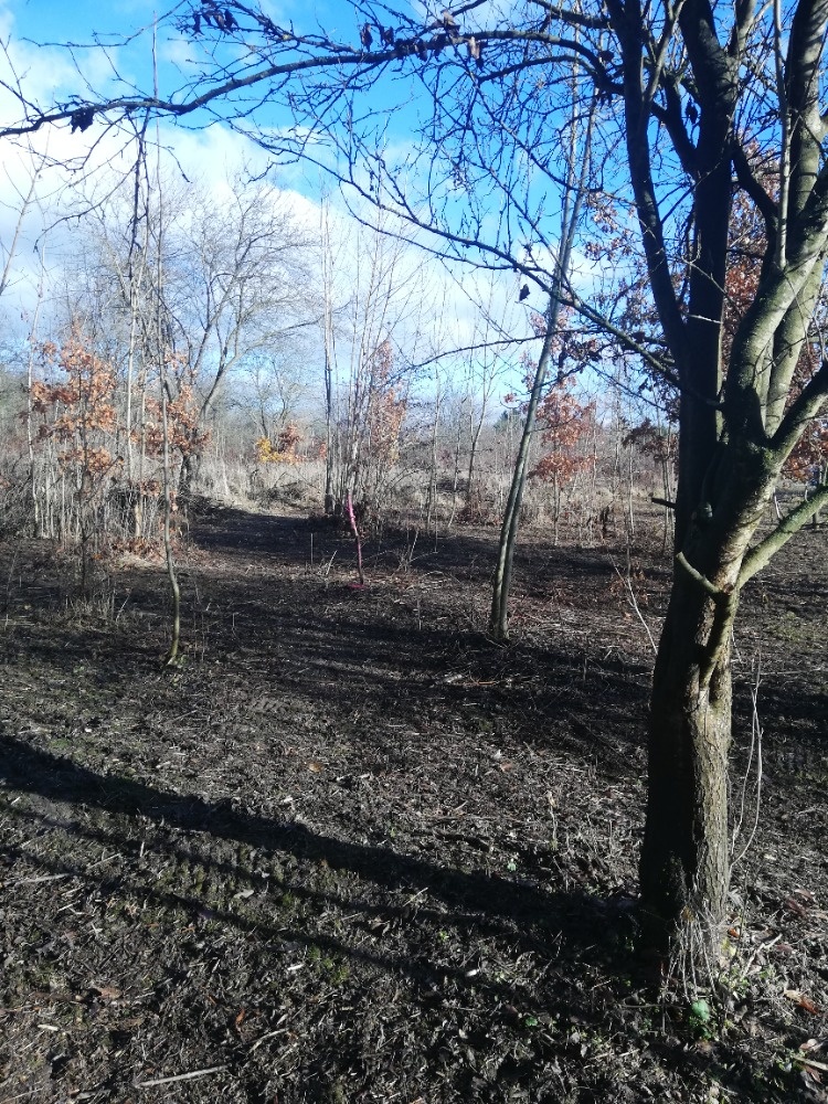 Olomouc řepčín zahrádka 455 m2 - 7