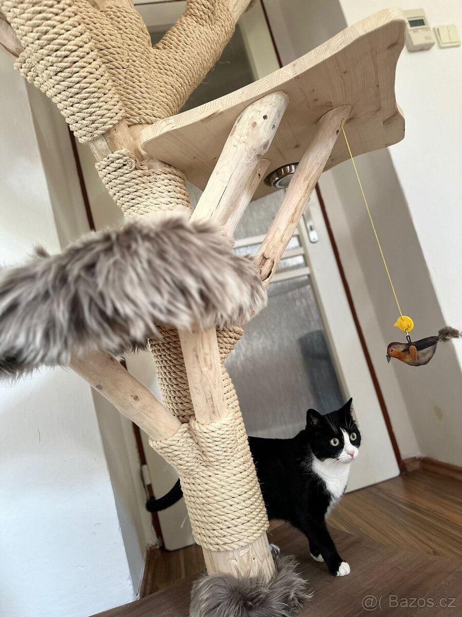 Prodám krásný kočičí strom - 7