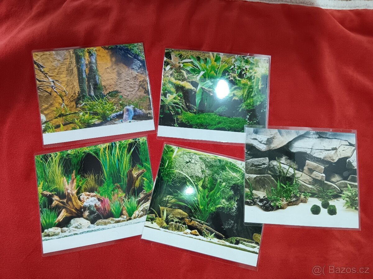 Akvárium, betárium, betta bojovnice, příslušenství - 7