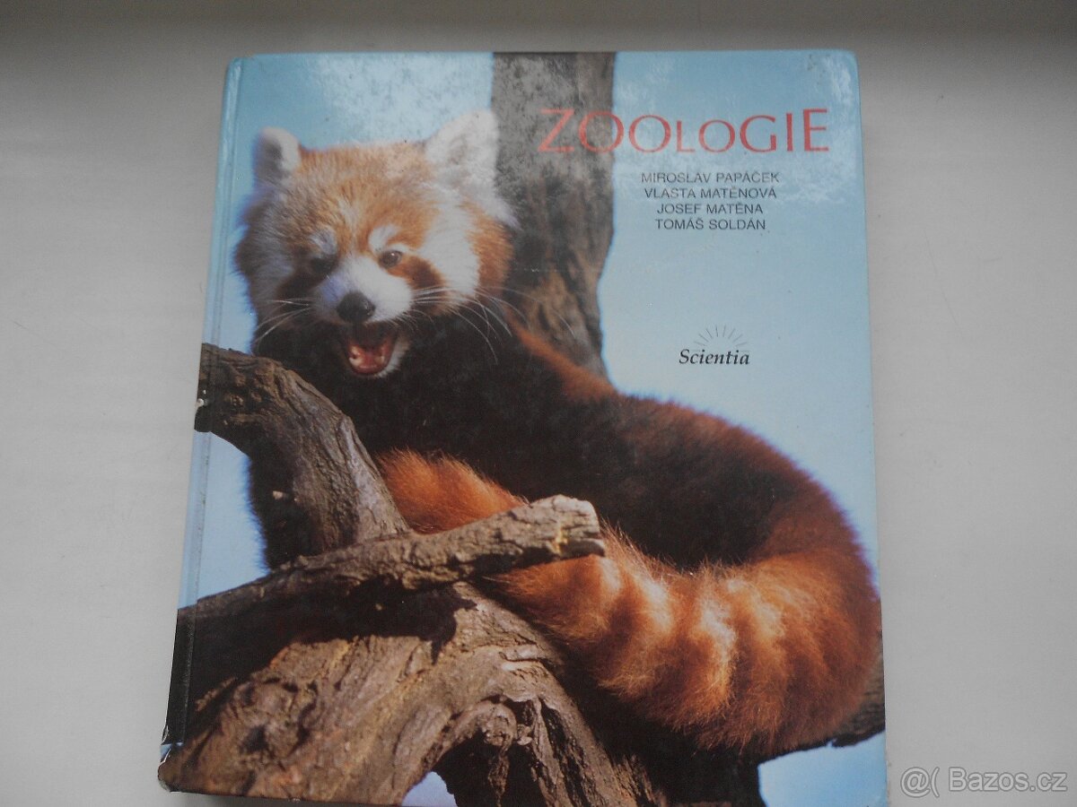 rybáři, zvířectvo, ptactvo, koně - 7