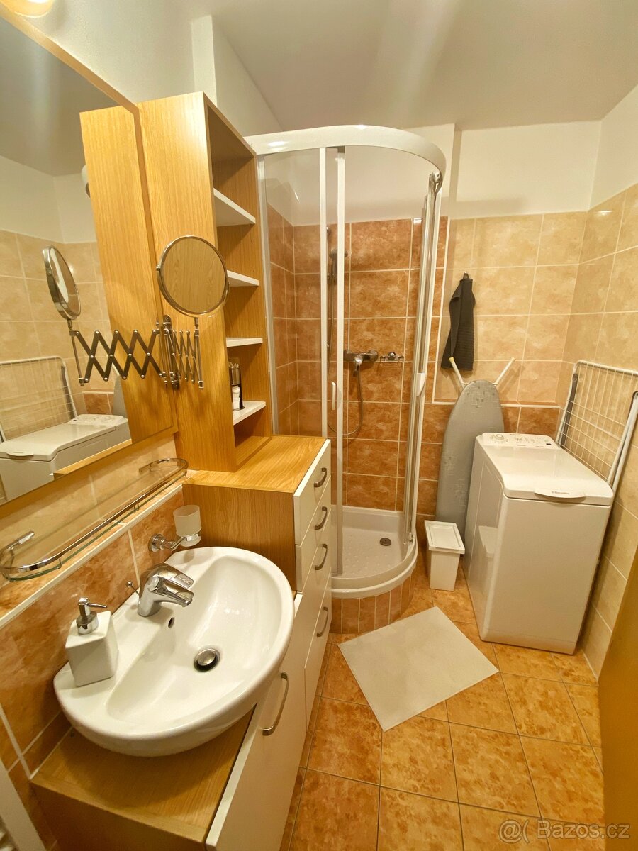 Pronájem byt 1kk (40m2) + park. stání, Čeladná - Farské luky - 7