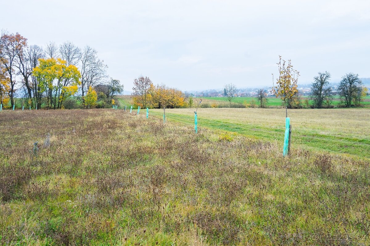 Zahrada, pozemek, Bělkovice-Lašťany 1900m2 - 7