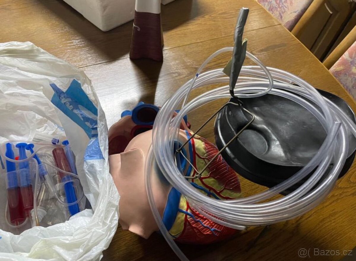 model lidské srdce - 7