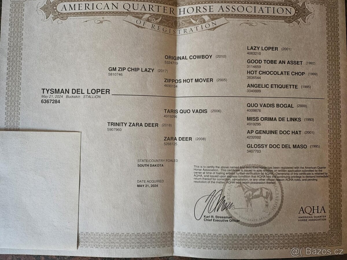 QH valášek 100% charakter - 7