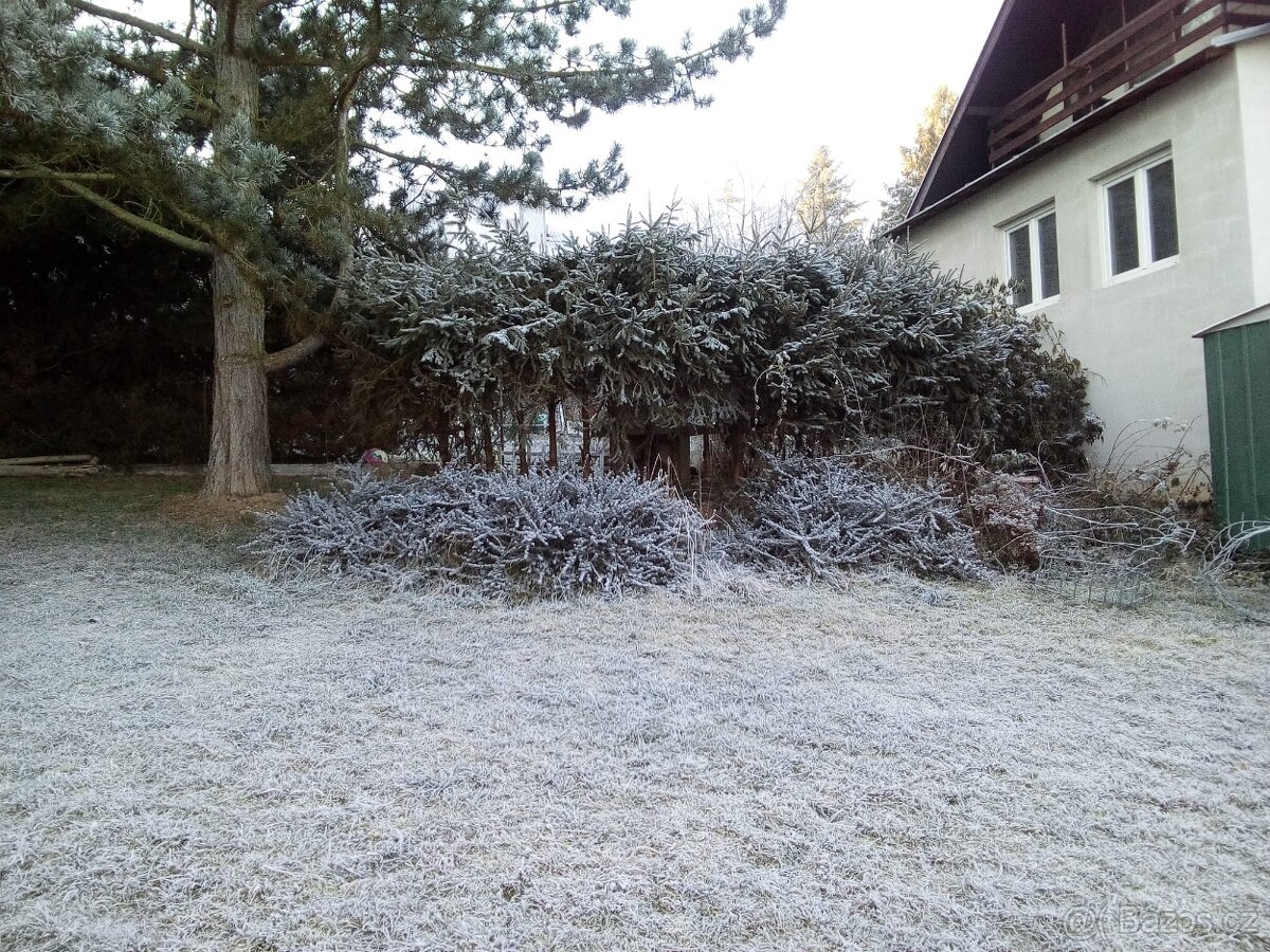 Celoroční obyvatelná chata - 7