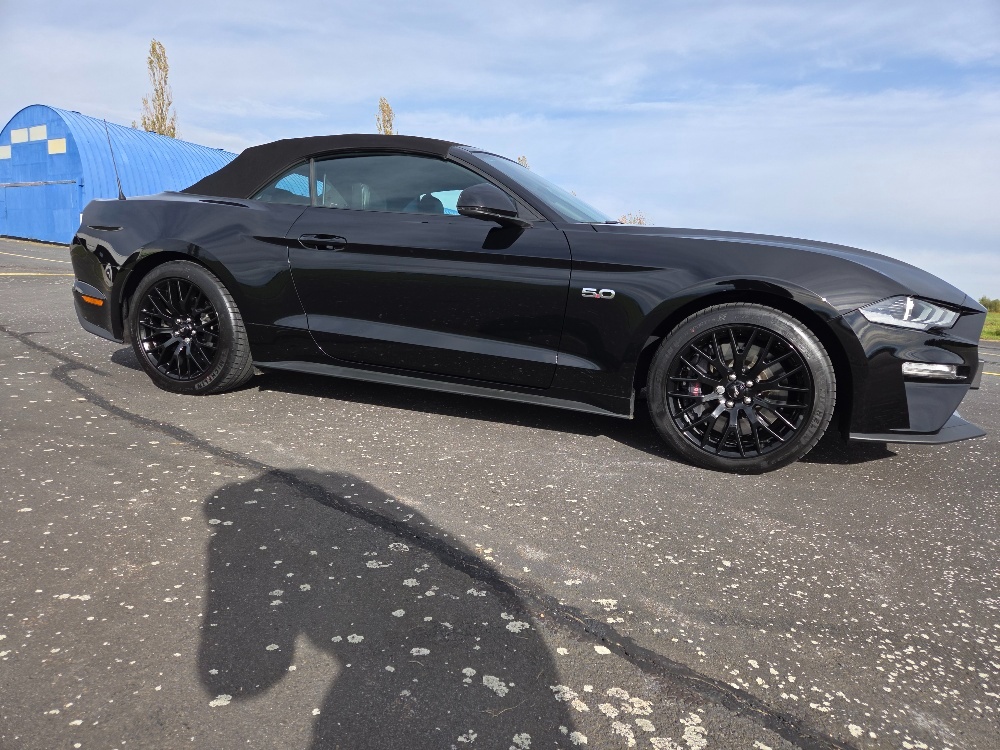 Ford Mustang Cabrio 5.0 GT 2022 - 7