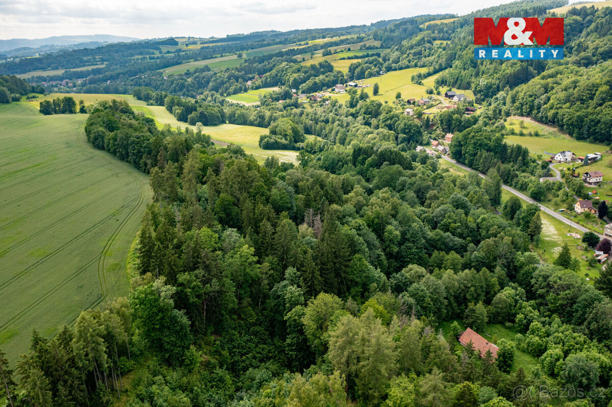 Prodej lesa, 36610 m², Peřimov - 7