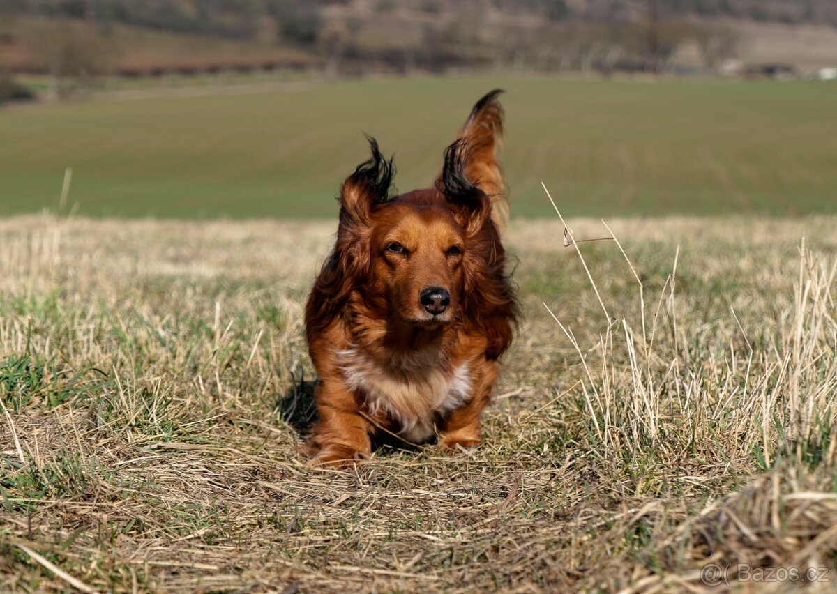 Panasonic Lumix S1 + 24/105mm - 7