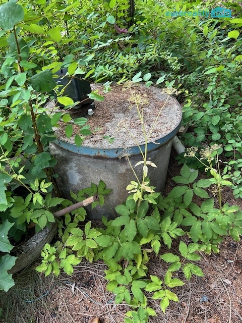 Prodej, chata, 576m2, Planá- Zliv - 7