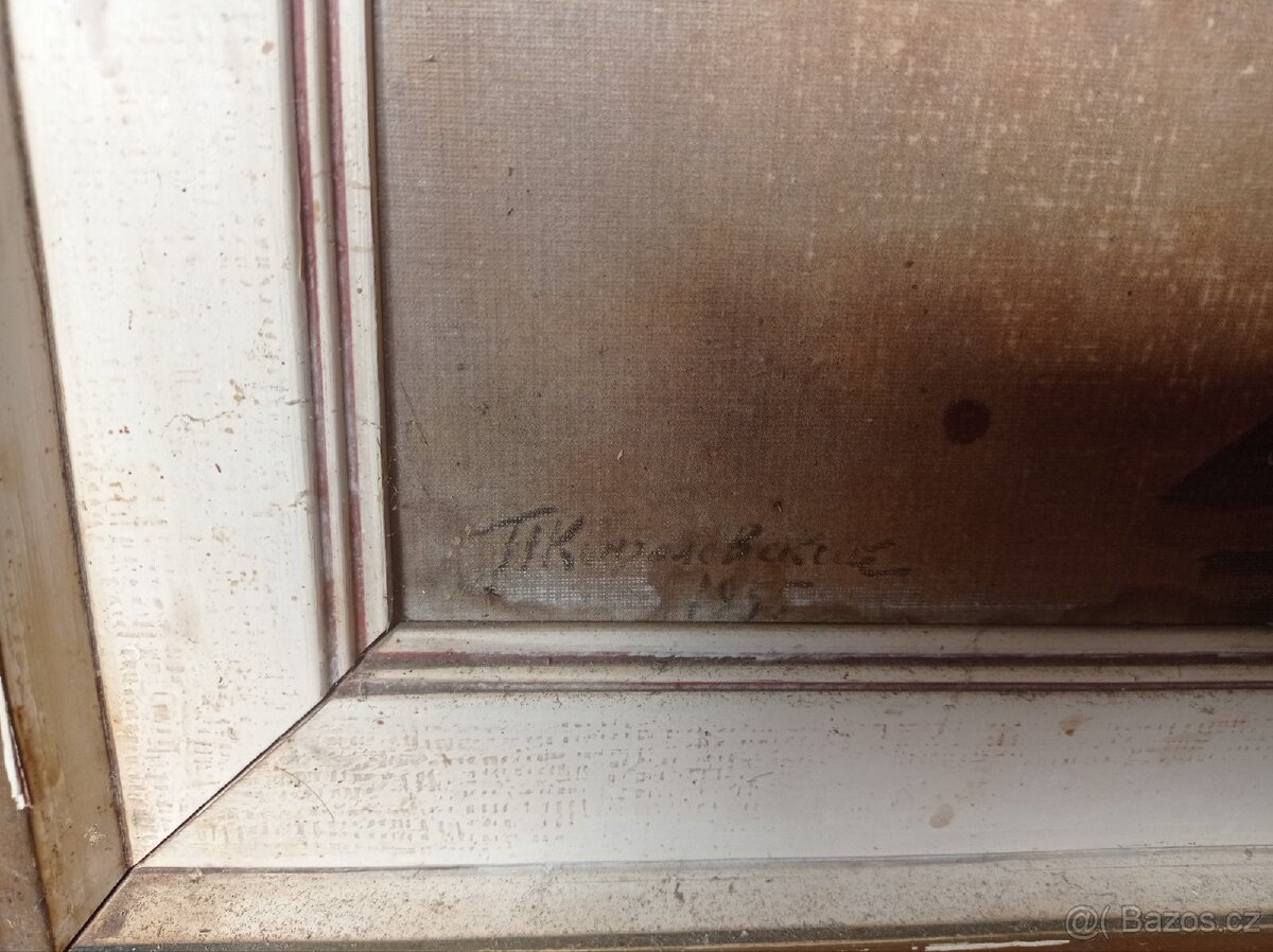 Obrázek obraz obrazy - 7