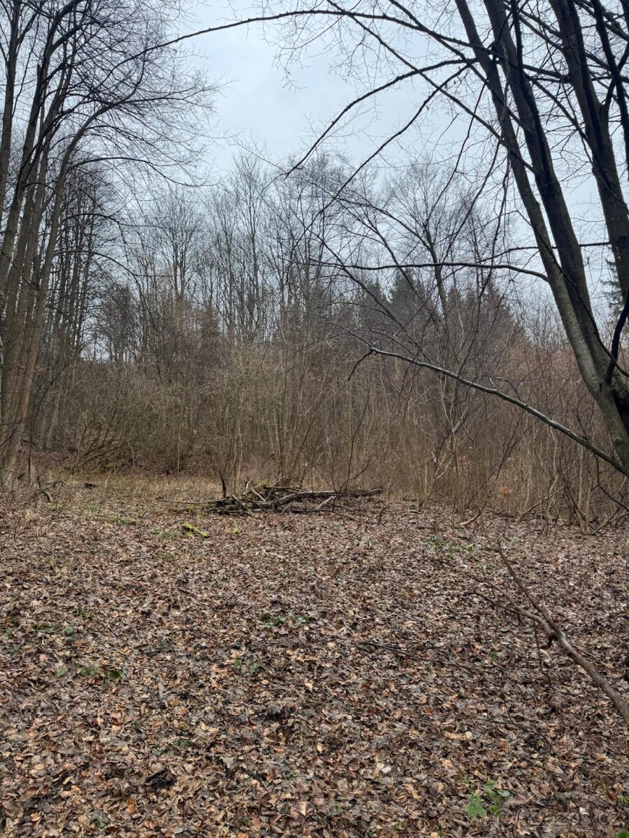 Prodej pozemků k.ú. Huslenky (3) - 7