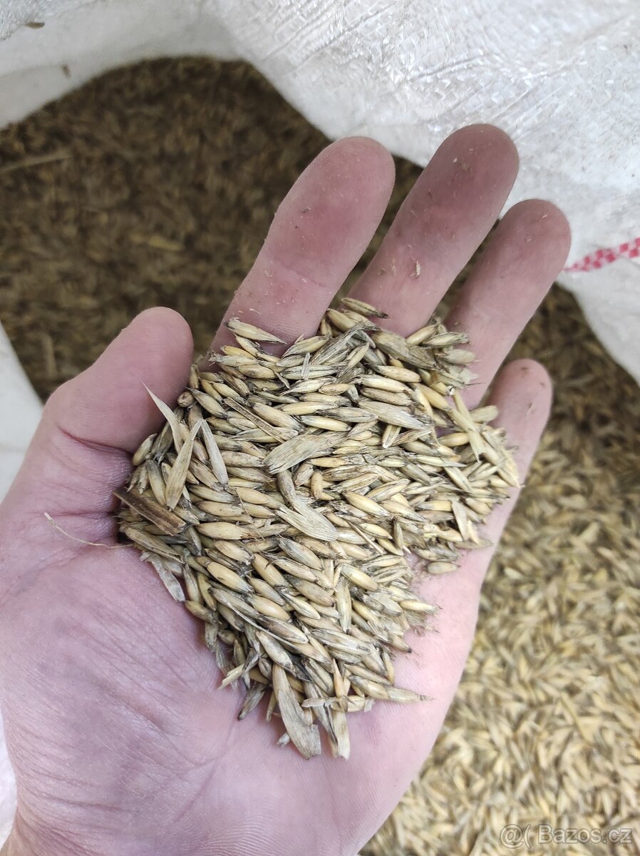 Krmivo pro nosnice ENERGYS - 7