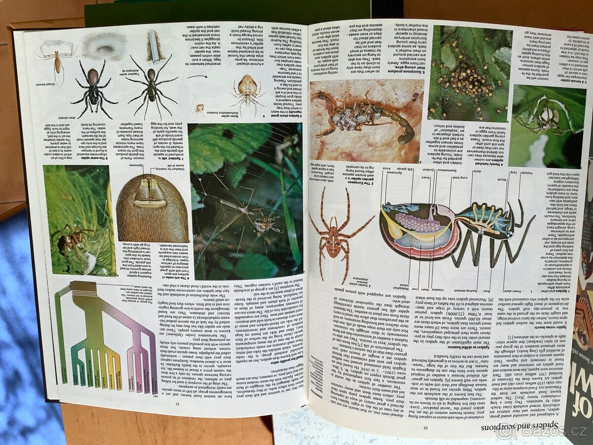 Joy of Knowledge naučné knihy v angličtině - 7