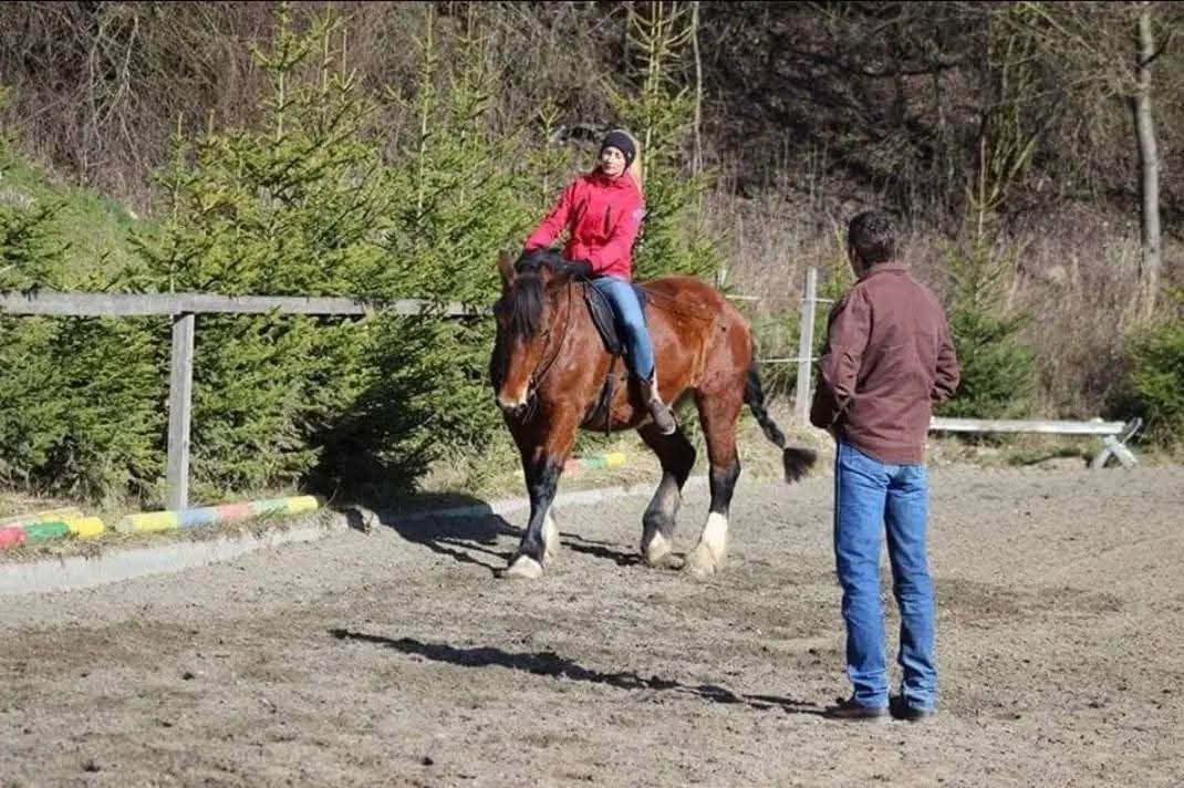 Částečný pronájem - 7