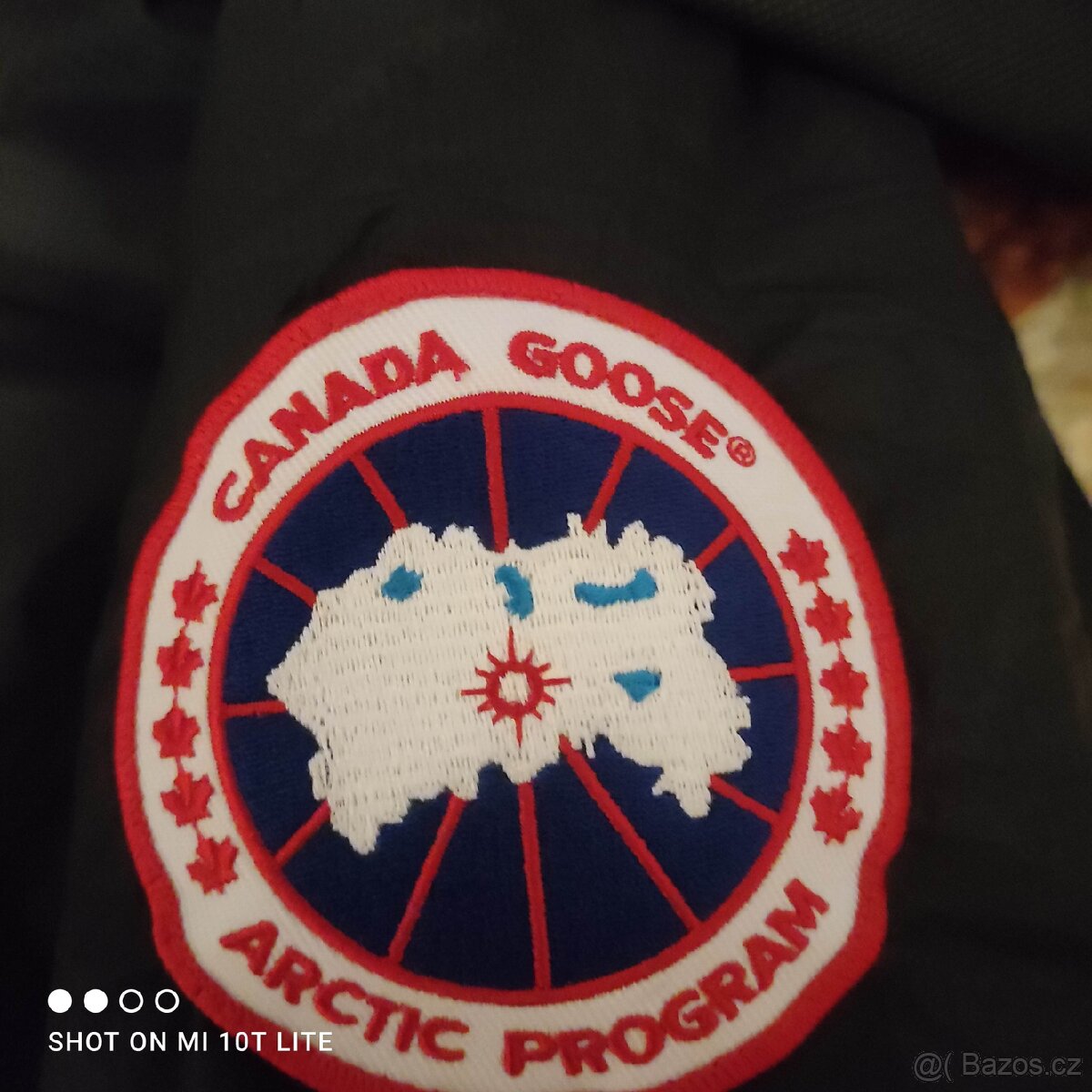 Canada goose - 7