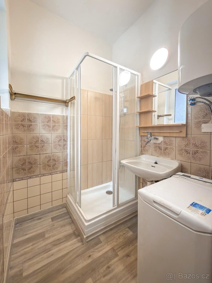 1+1 47 m2 v Mladé Boleslavi - 7