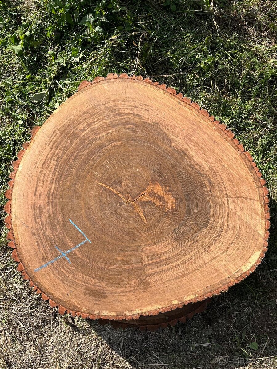 Dubové koláče - 7