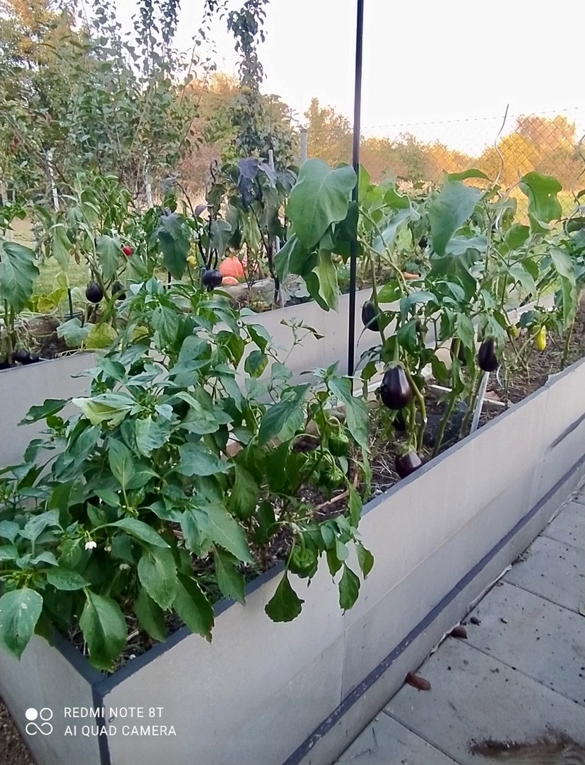 Cetris desky cementotřískové - 7