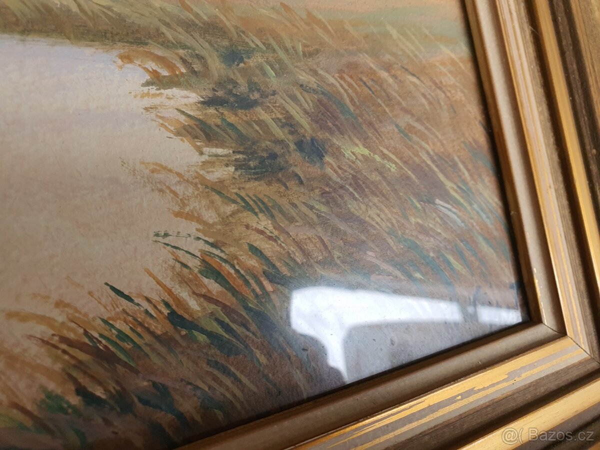 Obraz ak.malíř Václav Vejr – Blata, perfektní stav, sklo - 7