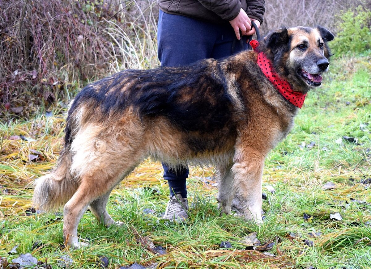 TALINN - NAJDE KONEČNĚ POHLAZENÍ A LÁSKU SVÝCH PÁNEČKŮ - 7