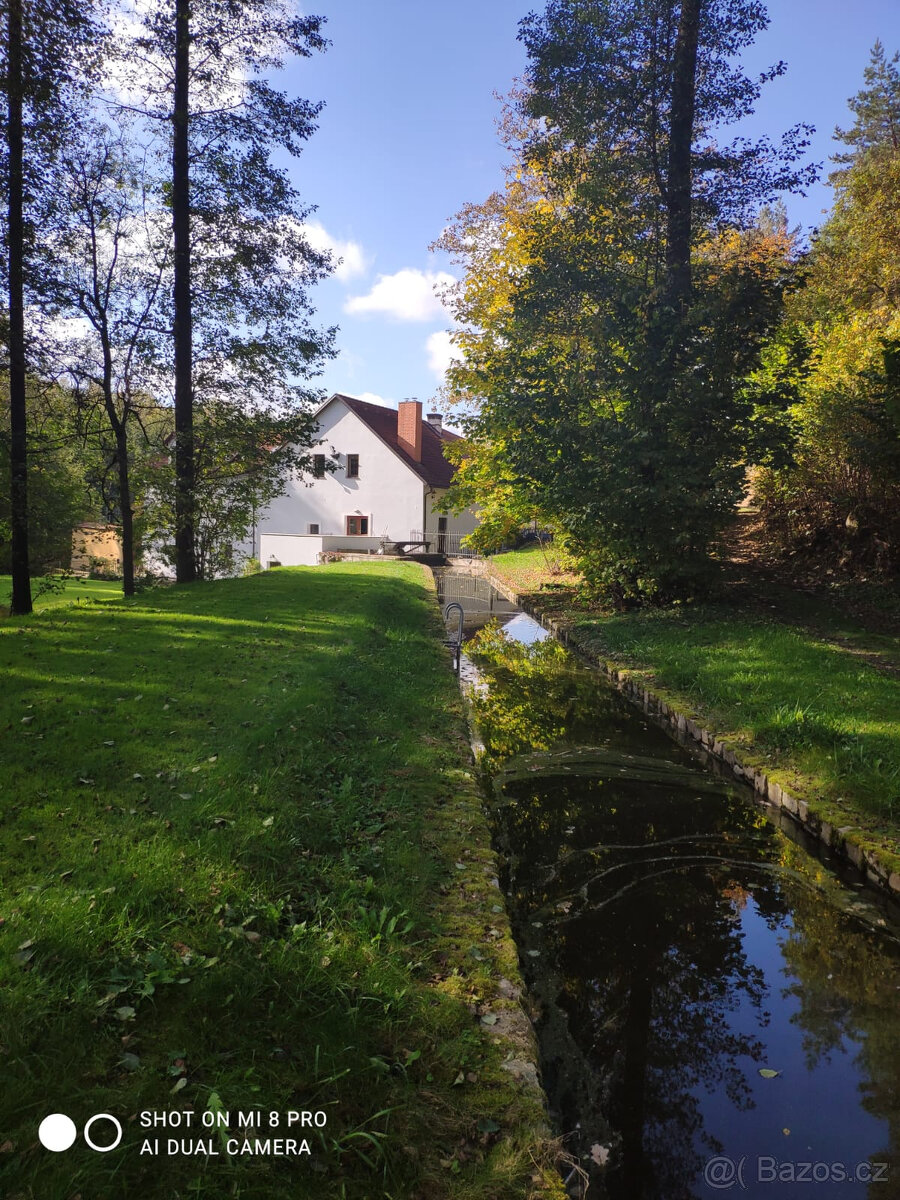 Půvabný mlýn s rybníky, lesy, pastvinami, 5 apartmanů - 7