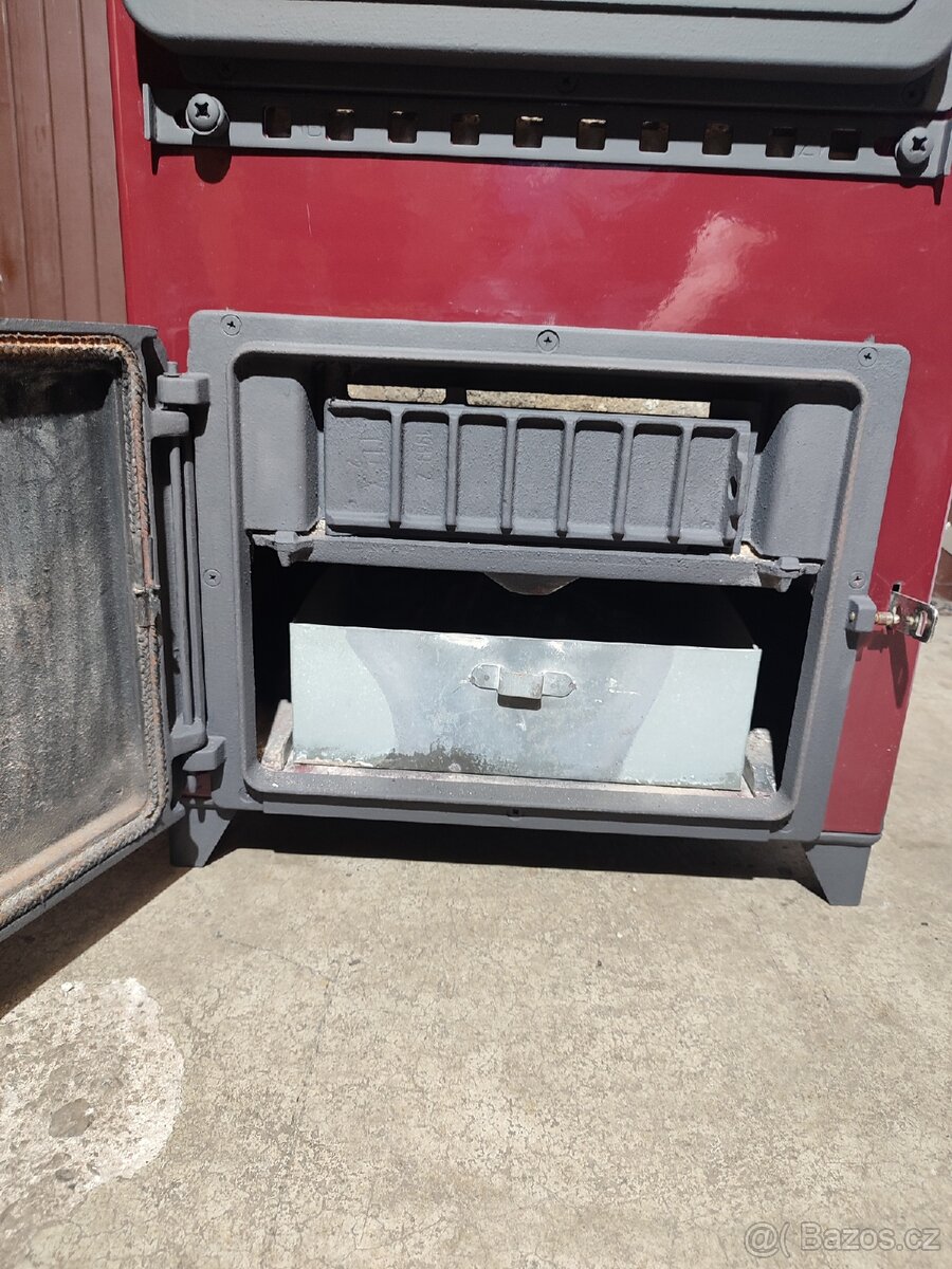 Kamna Thorma Filex - 7