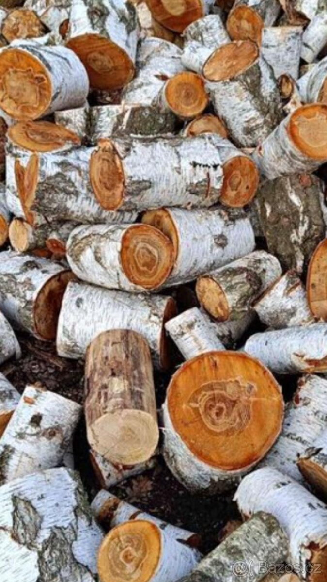 Palivové dřevo - 7