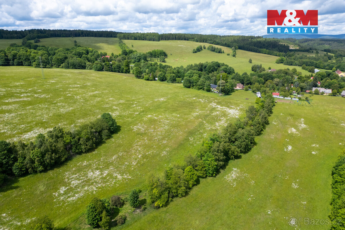 Prodej louky, 15938 m², Horní Rozmyšl - Dolní Nivy - 7