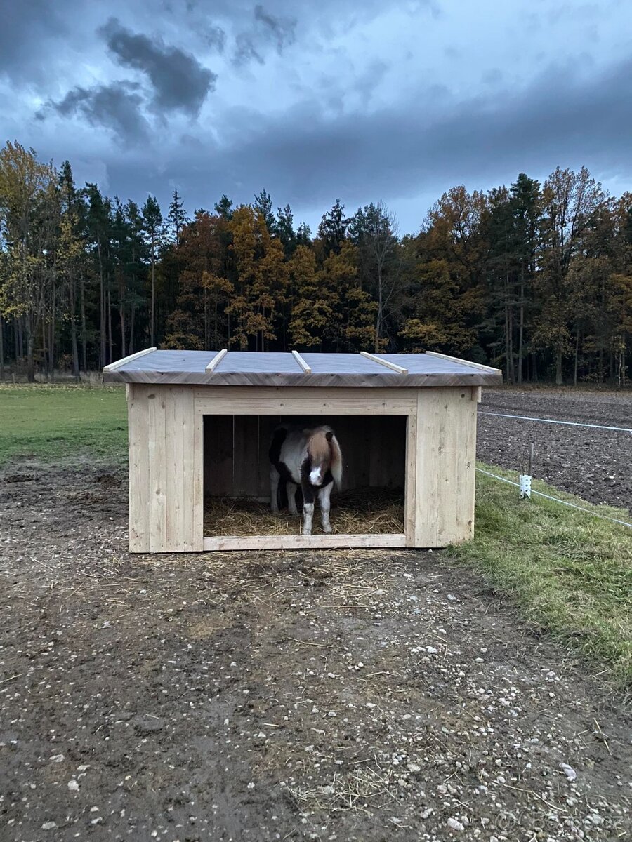 Ustájení České Budějovice - 7