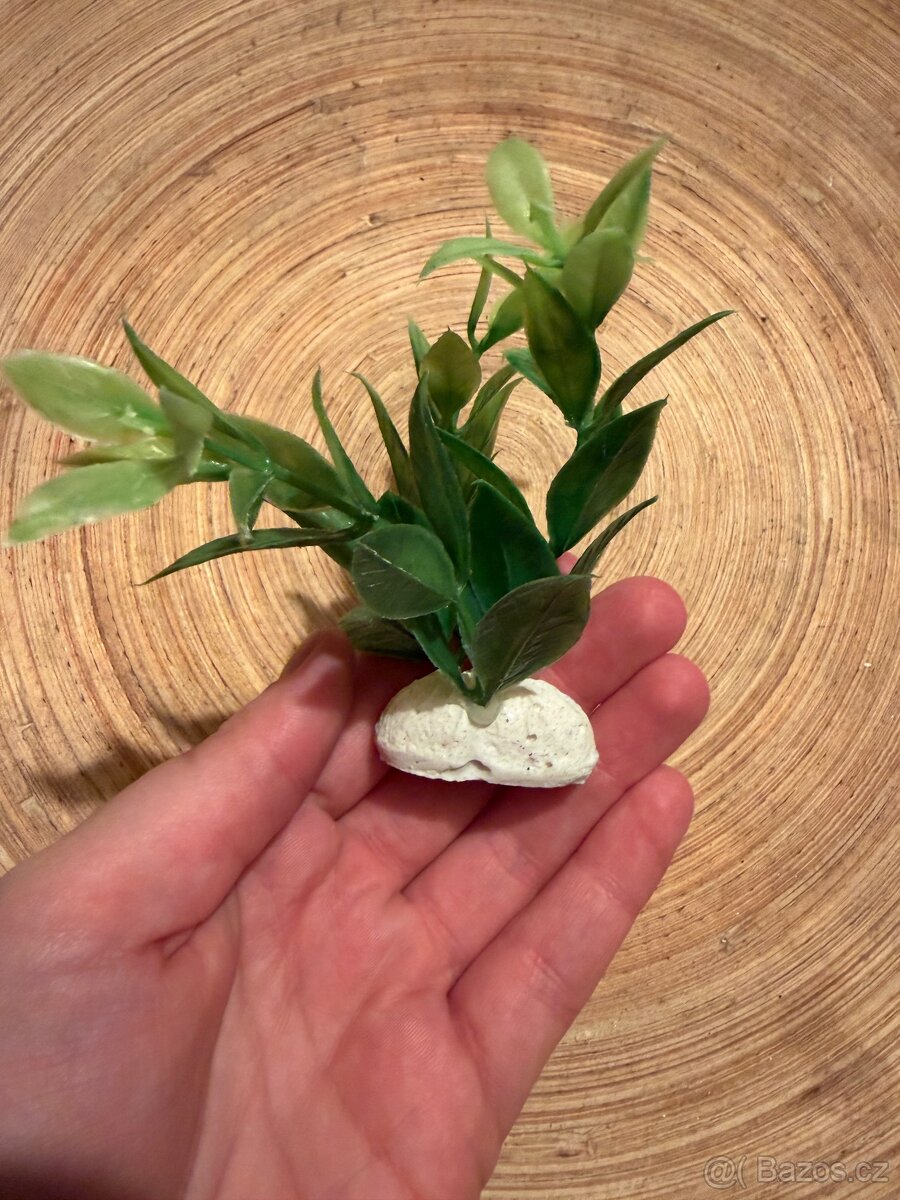 Prodám akvárium 20l i s příslušenstvím - 7