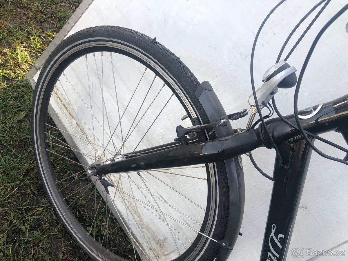 Pánské elektrokolo Diamant - 7