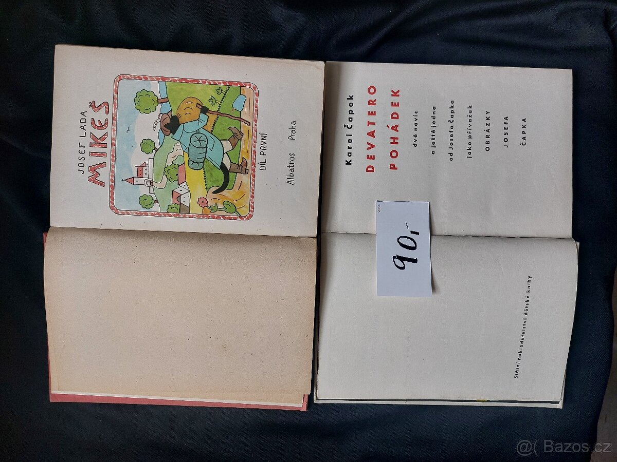 Knihy staré a starší - 7